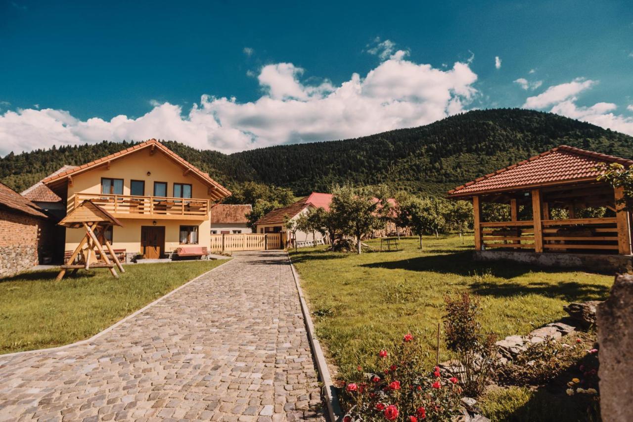 Hotel Casa Bunicilor Nucsoara  Exterior foto